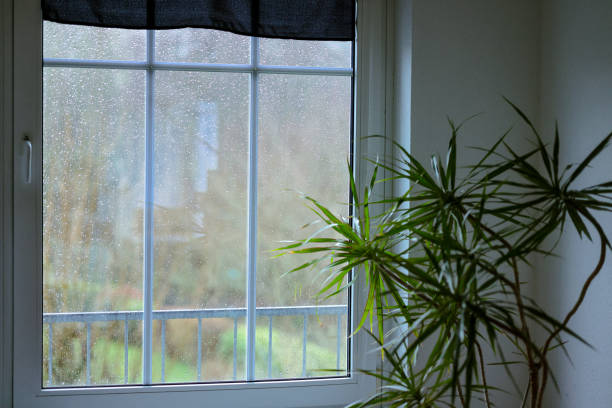 Rain-streaked home window with grilles during a storm